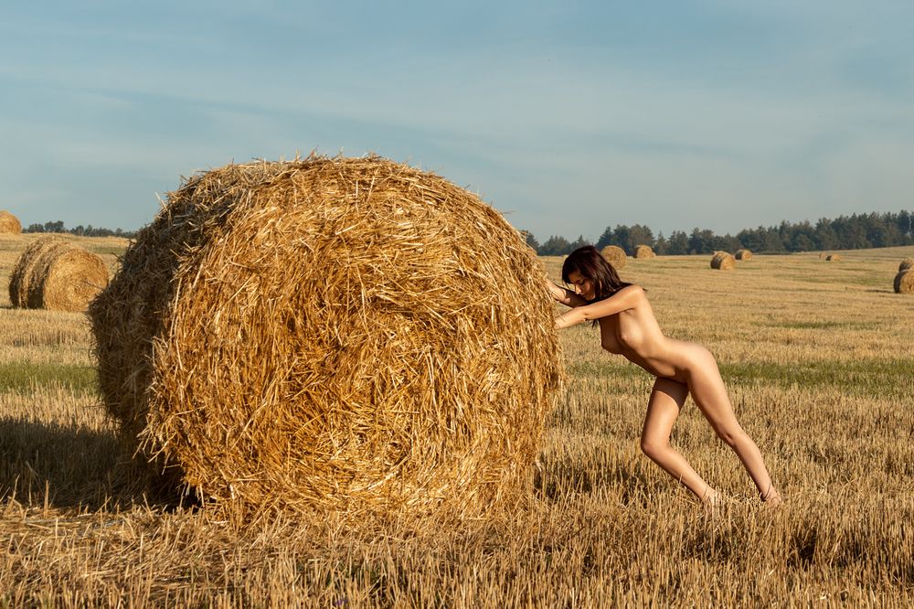 Photograph by Дмитрий Савинов