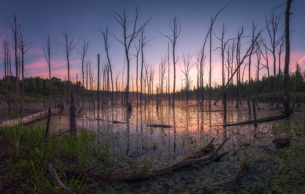 Photograph by Виталий Левыкин