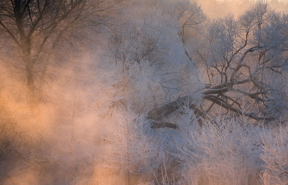 Photograph by Виталий Левыкин