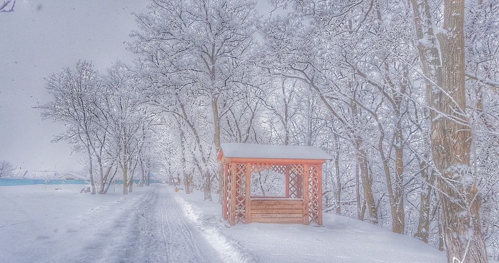 Photograph by Дмитрий Коршак