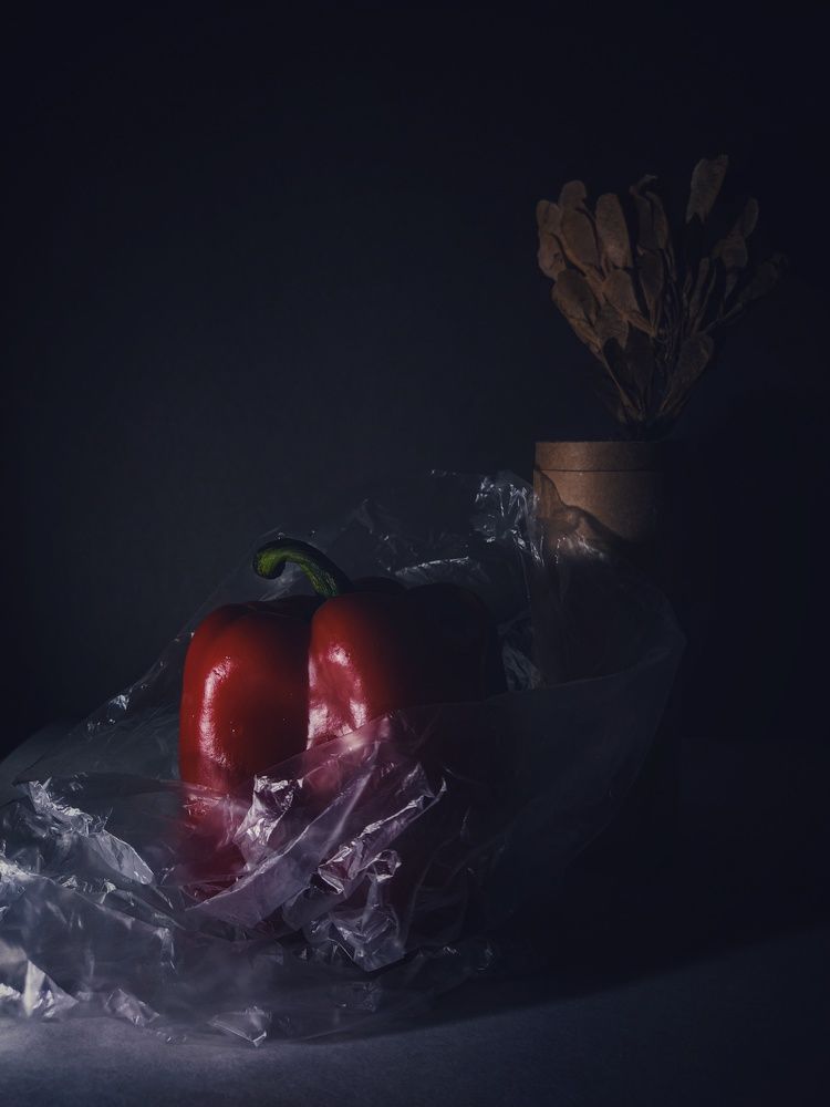 Пластмассовая жизнь