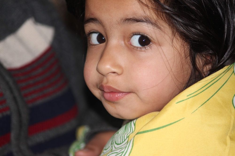 Фотография автора Pradeep Plaha