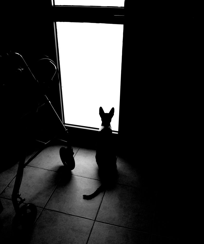 Photograph by Lana Medved