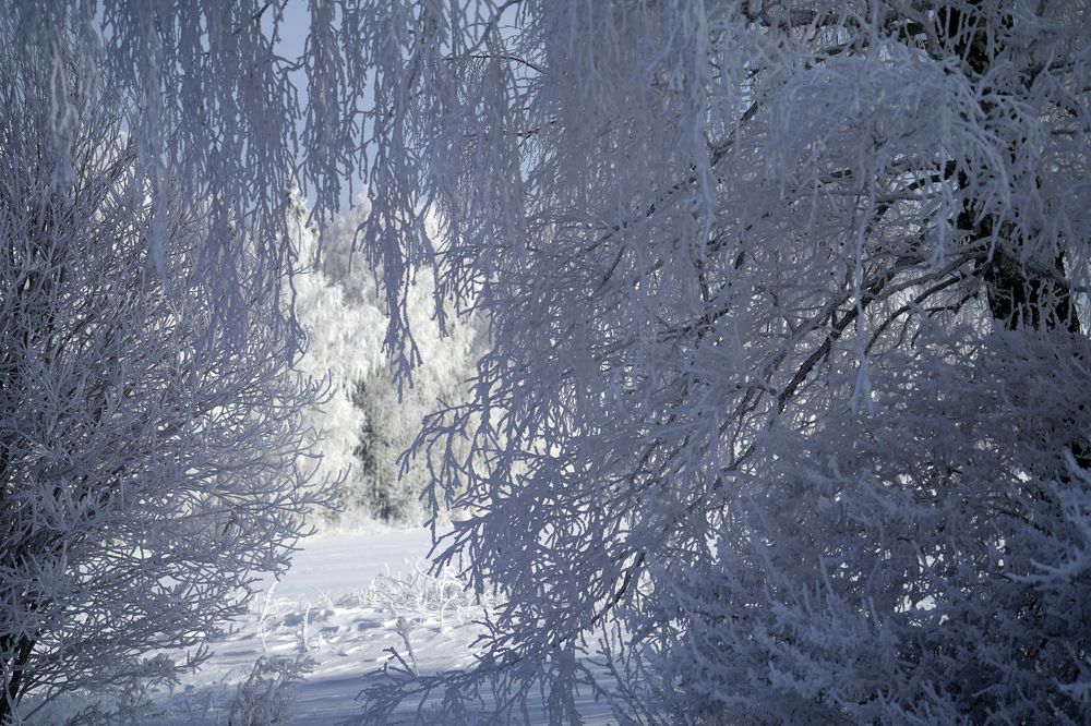 Photograph by Измаил Ефимов