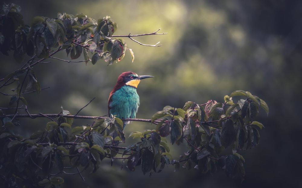 После трудов праведных...