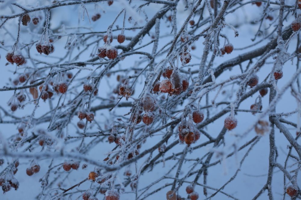 Photograph by Инна