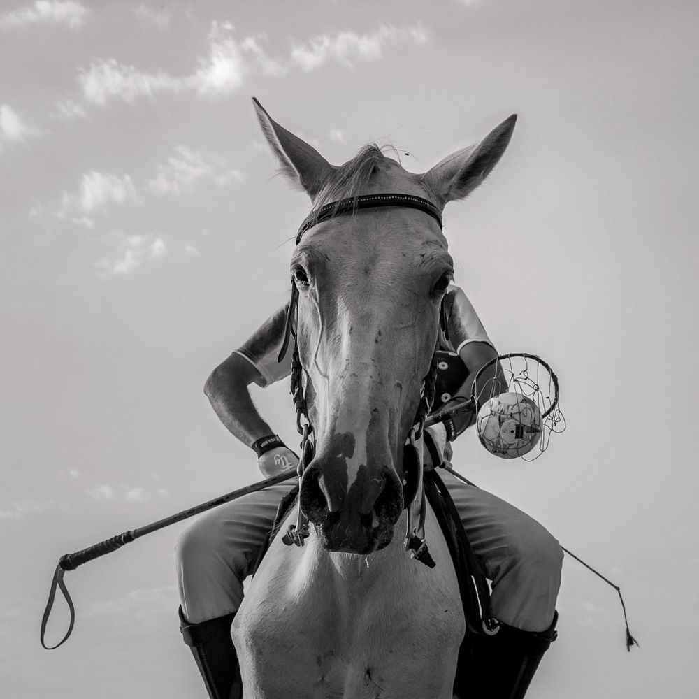 Photograph by majid hojati