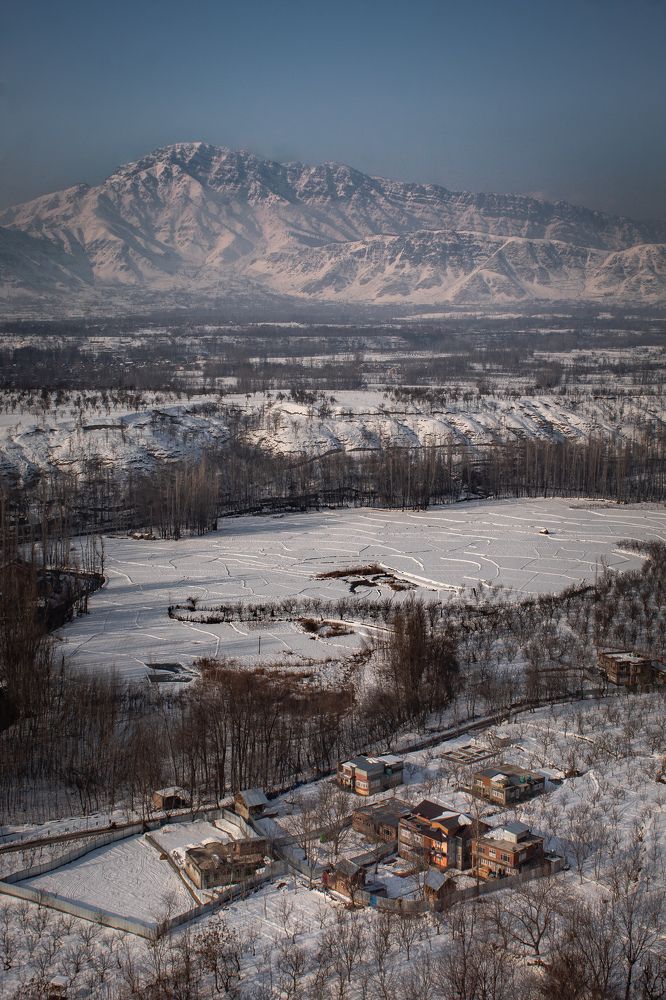 Photograph by Abrar Farooq Wani