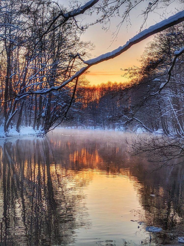 Зимний закатный вечер