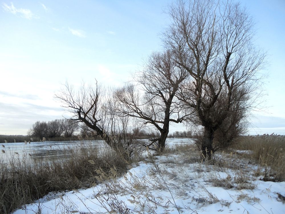 Photograph by Дмитрий Соколов