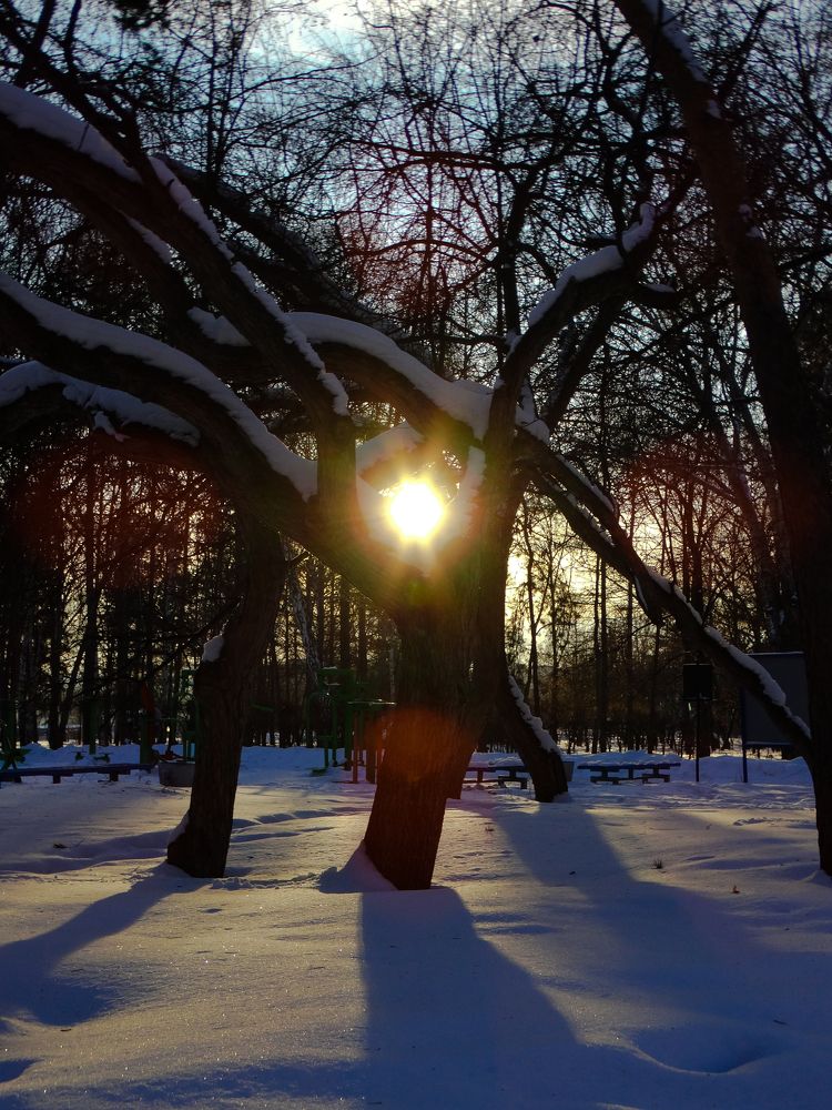 Photograph by Анжелика Трошина