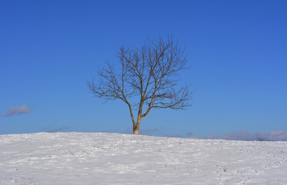 Photograph by Edin Masovic