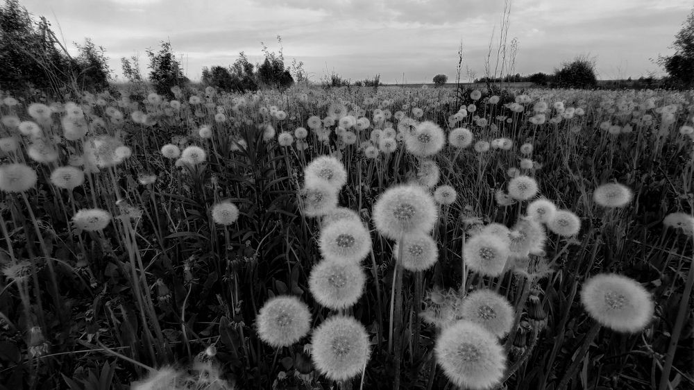 Photograph by Светлана Кондрашова