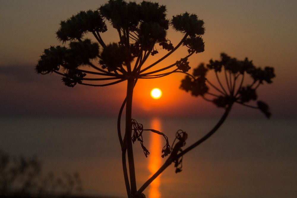 Мистерия рассвета.