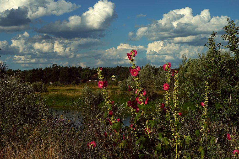 Photograph by Измаил Ефимов