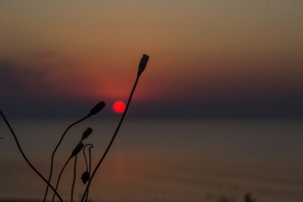 Photograph by Ирина Нагорная