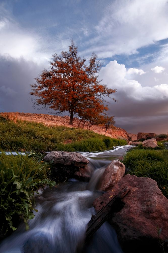 Photograph by boutaiba naoui