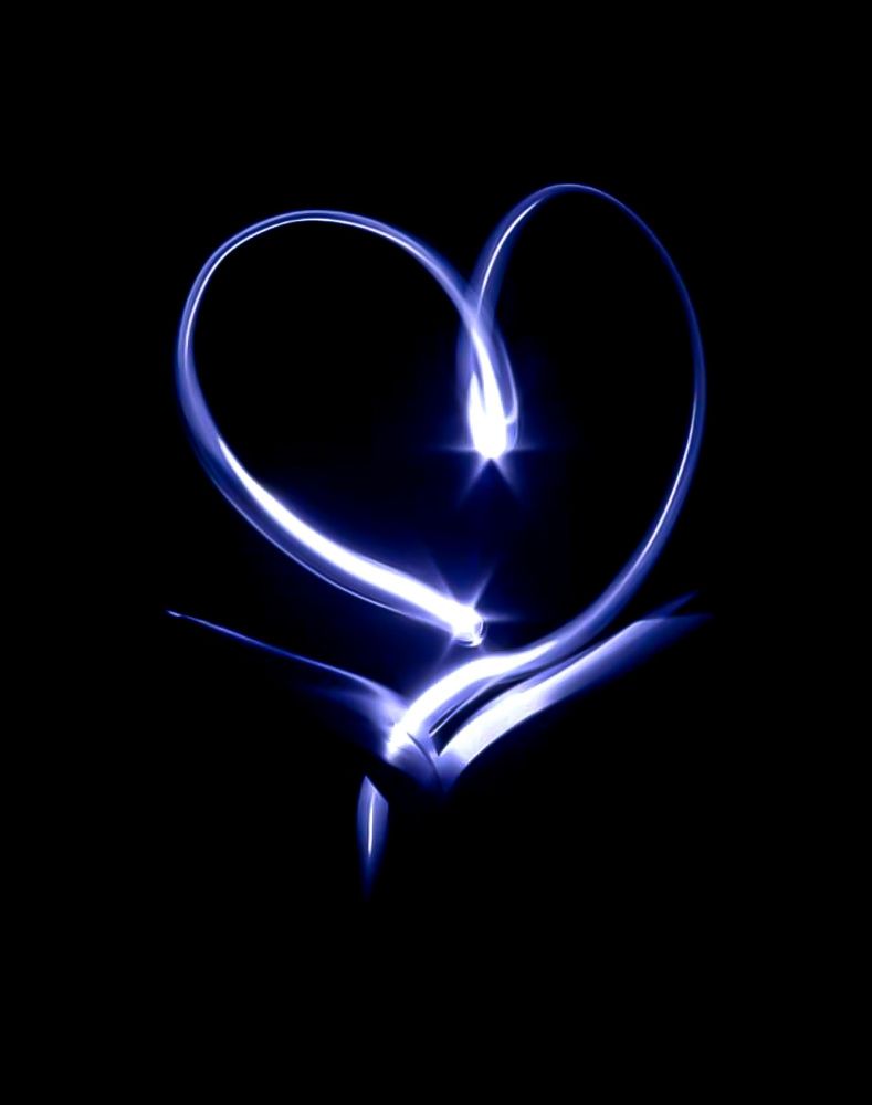 Photograph by Sarah Pouryousef