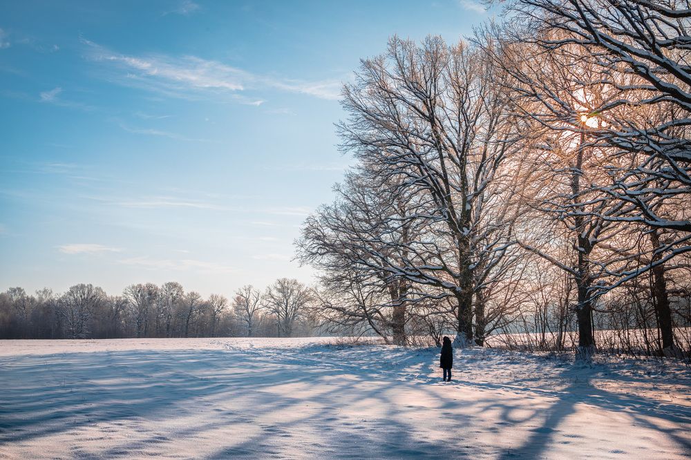 Морозные краски