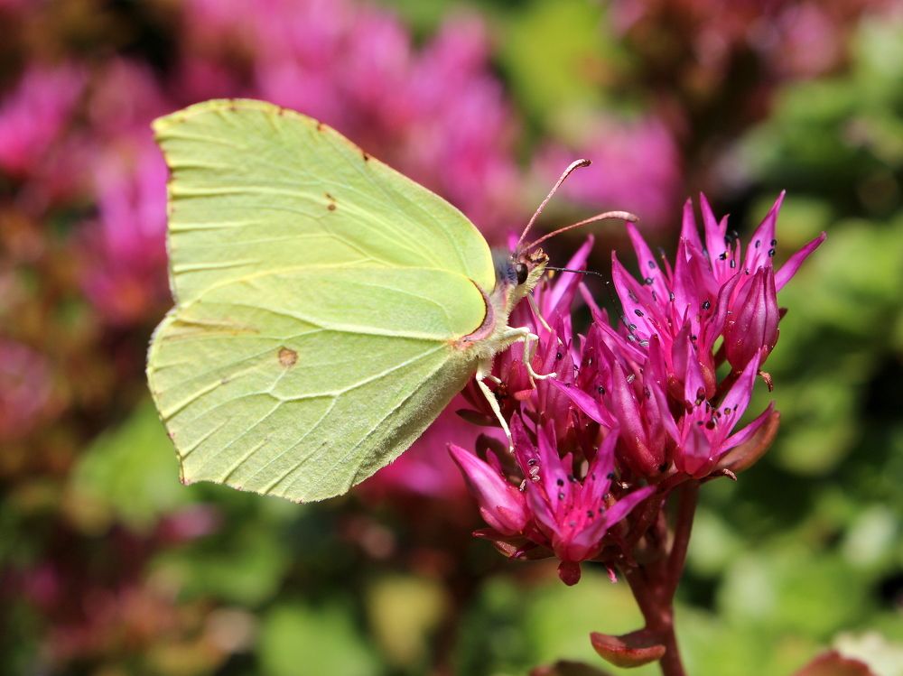 Photograph by Екатерина Мстиславская
