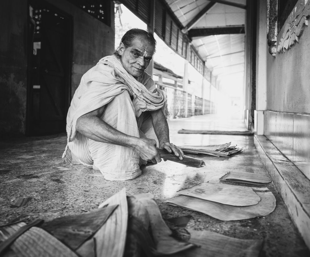A monk who cuts banana leaves