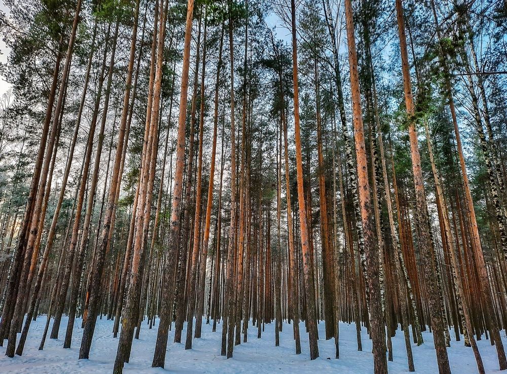 Photograph by Екатерина Казарцева