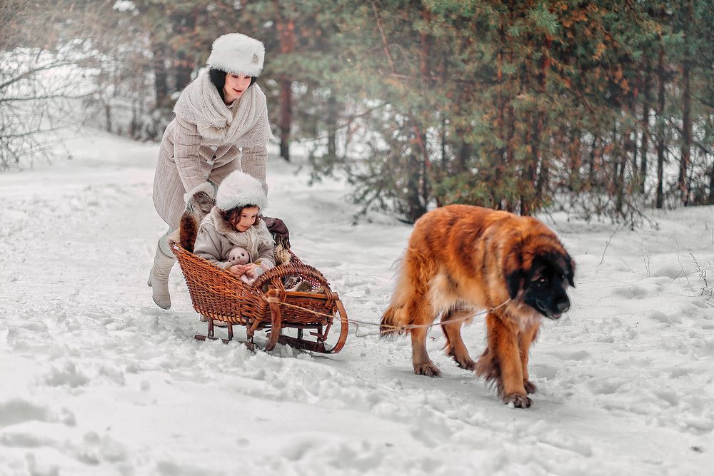 Photograph by Наталья Градова