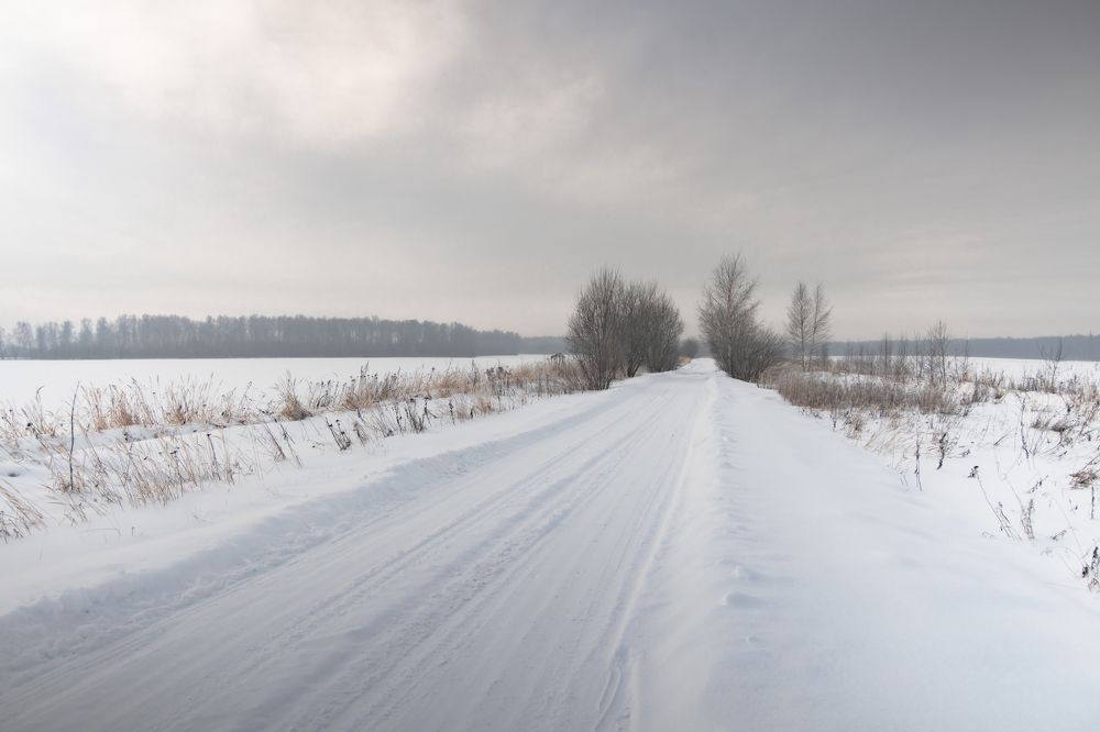 Photograph by Кирилл Черников