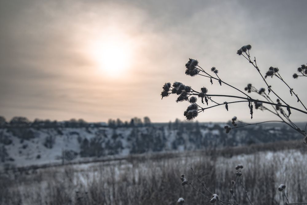 Photograph by Кирилл Черников