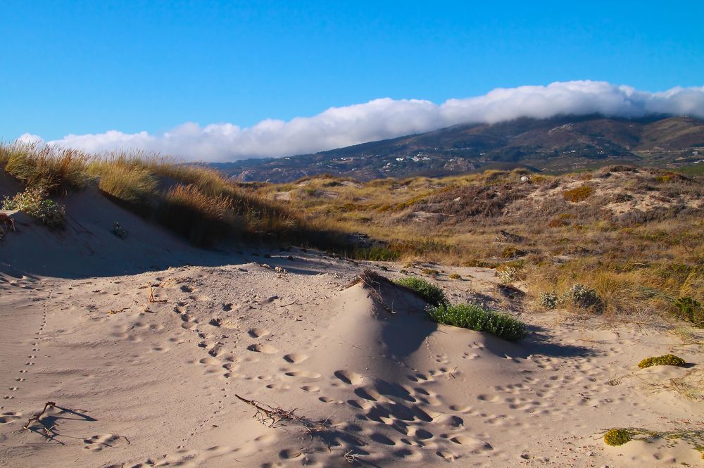 Photograph by Андрей Семёнов