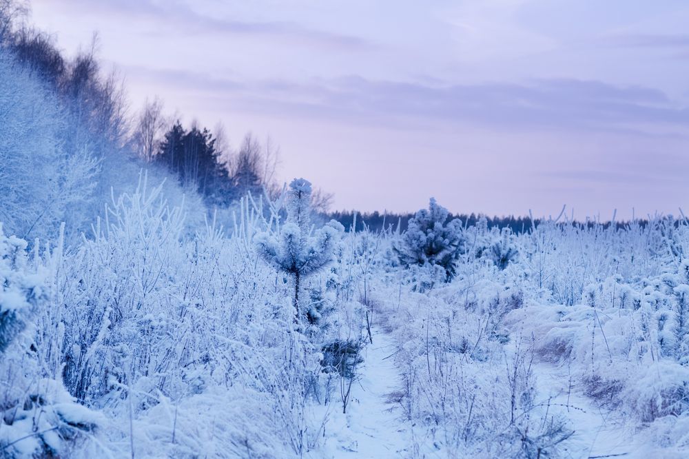 Photograph by Ирина Ефимова