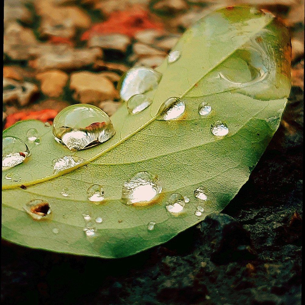 Photograph by Sarah Pouryousef