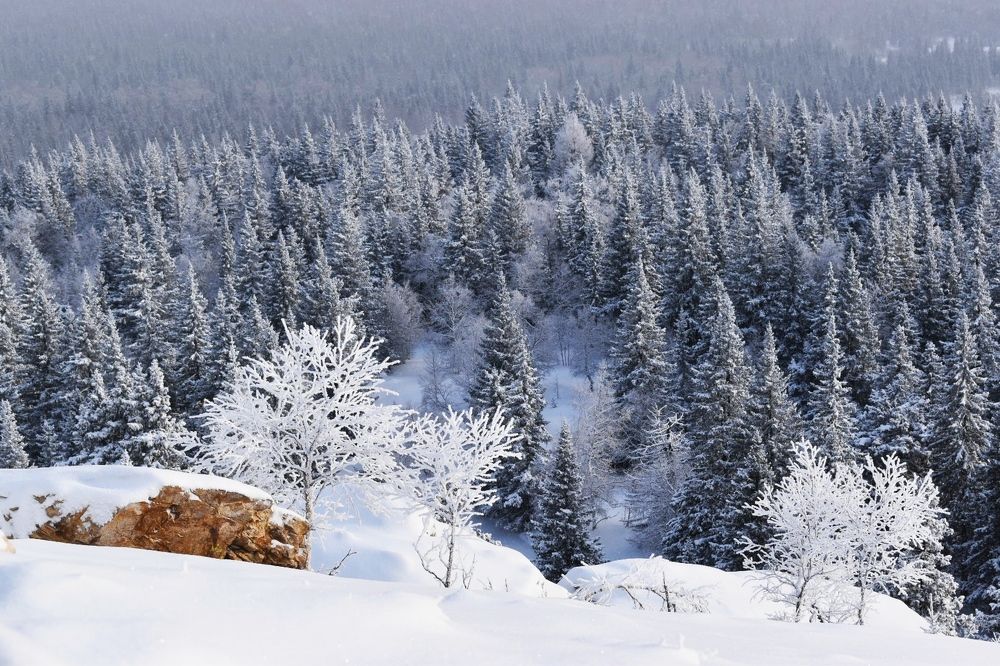 Photograph by Нина