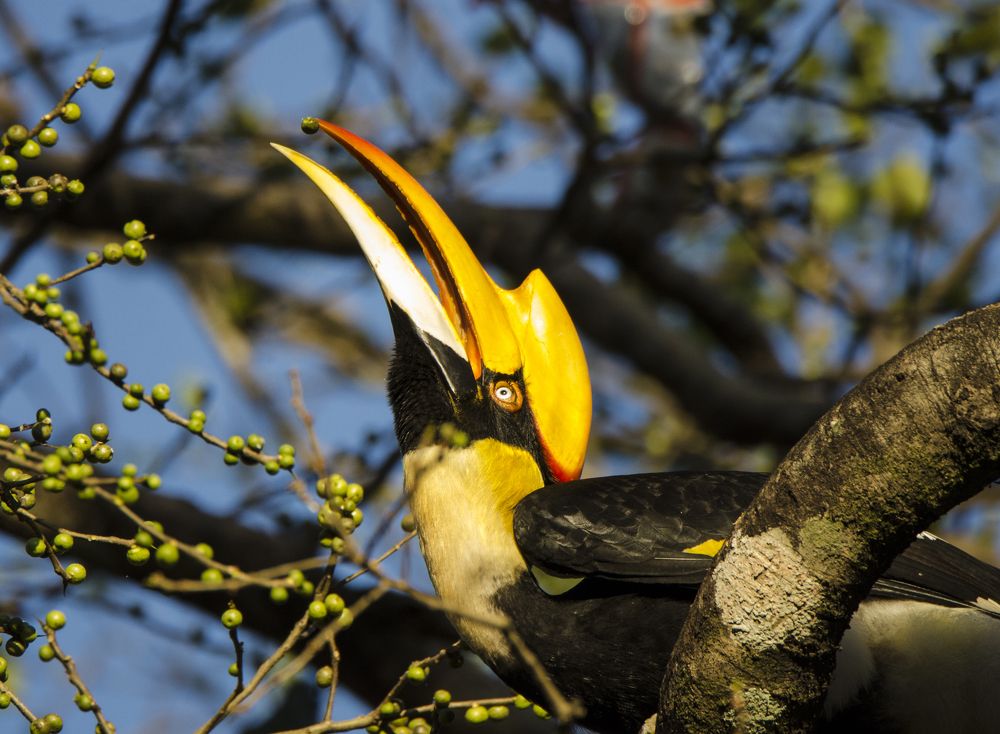 Photograph by Kushal Sharma