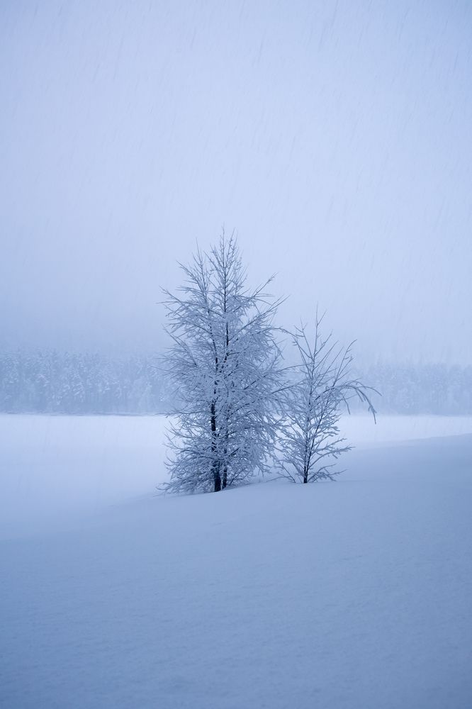 Photograph by Пантелеева Юлия