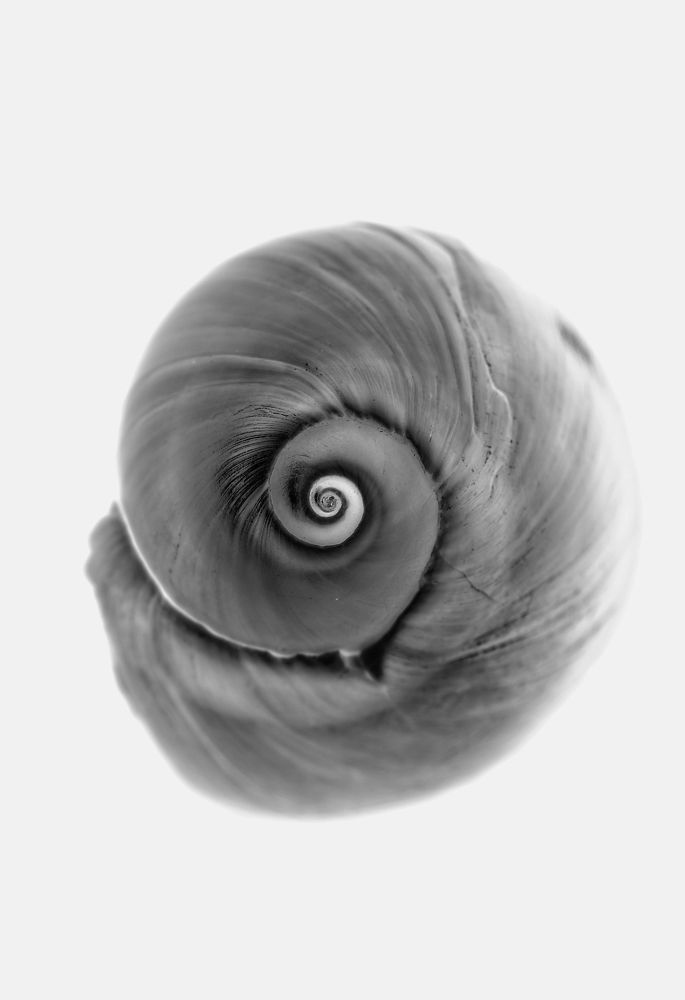 Photograph by Chantale Rivard