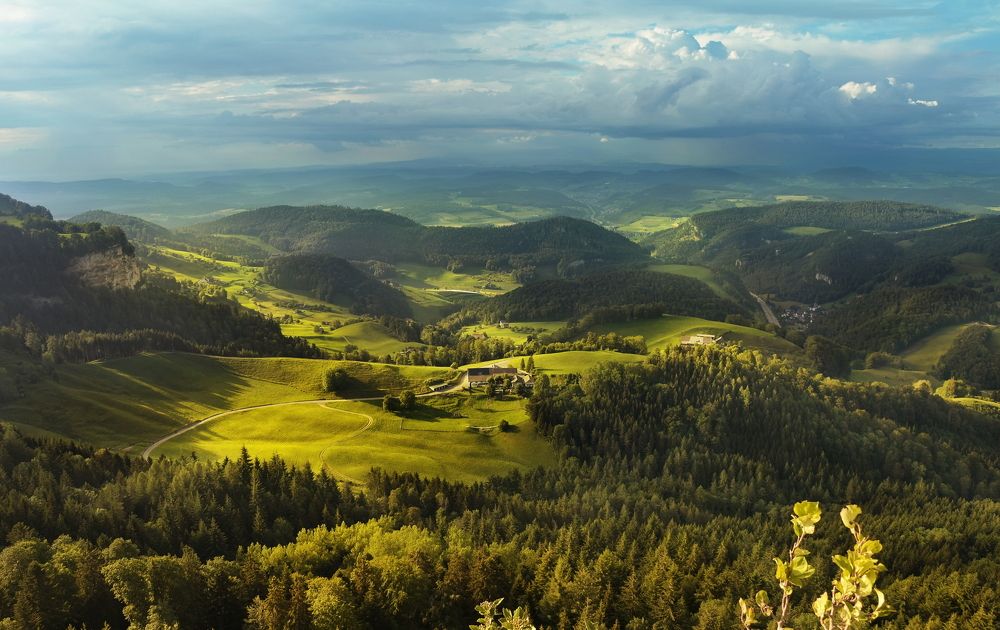 Photograph by Elena Wymann