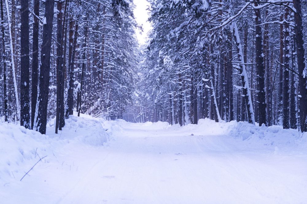 Photograph by Ирина Ефимова