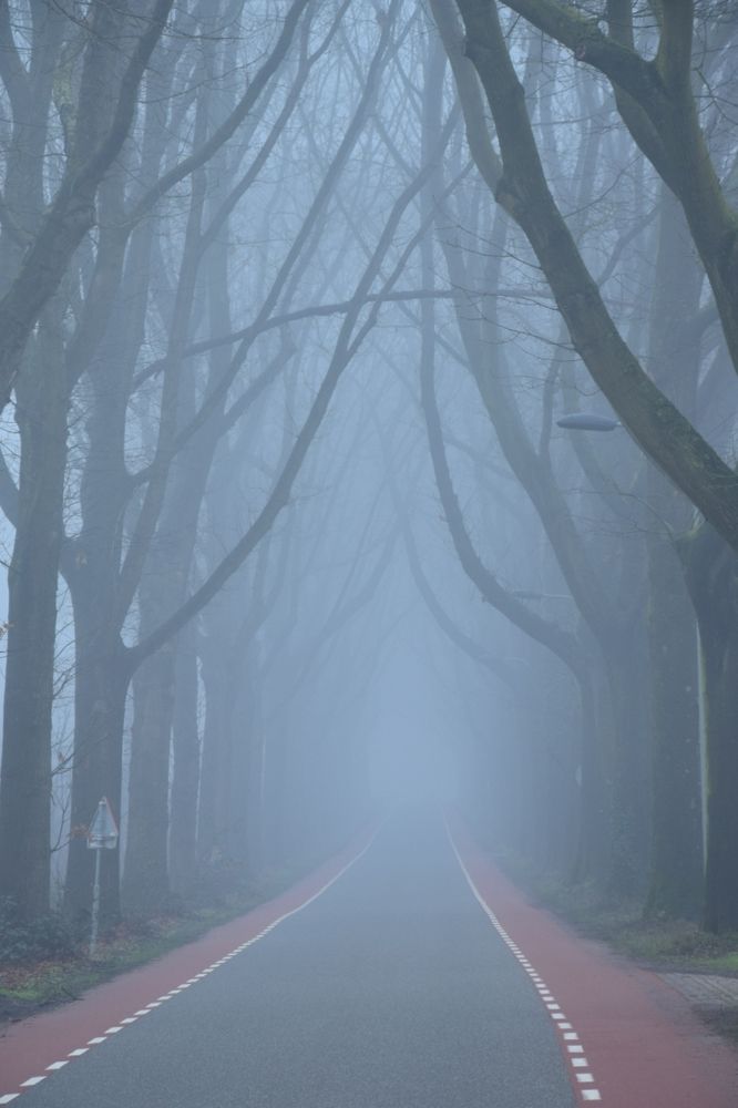 Misty mystery