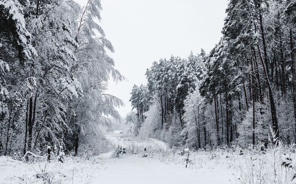 Photograph by Луговская Анастасия