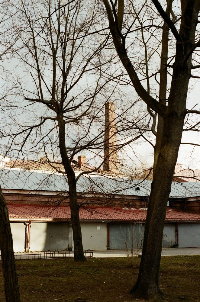 Санкт-Петербург, март-апрель, 2020г.