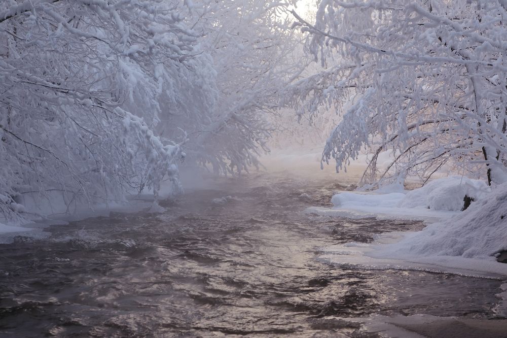 Навстречу солнцу.