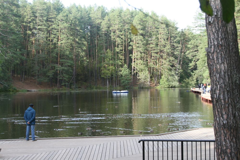 Спокойствие!