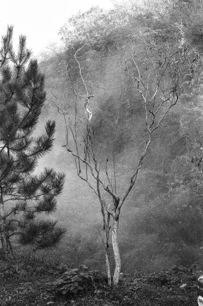 Photograph by Дмитрий Сосна