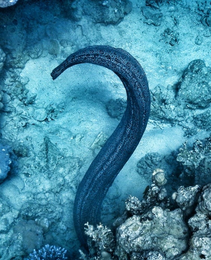 Photograph by Марина Курныш