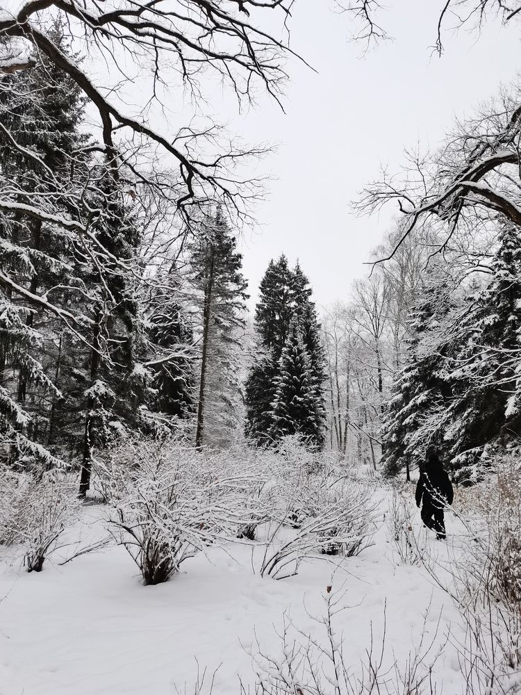 Photograph by людмила