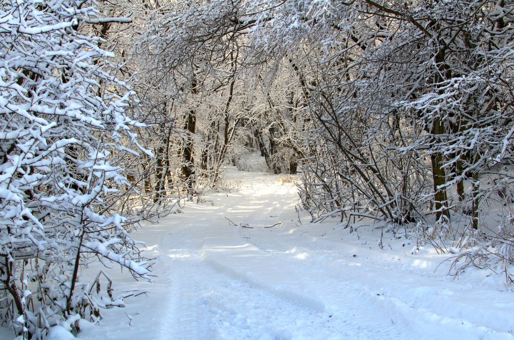 Photograph by Александр