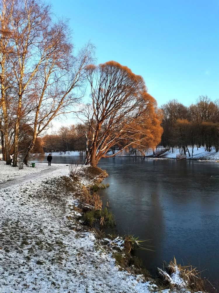 Прогулка вдоль пруда