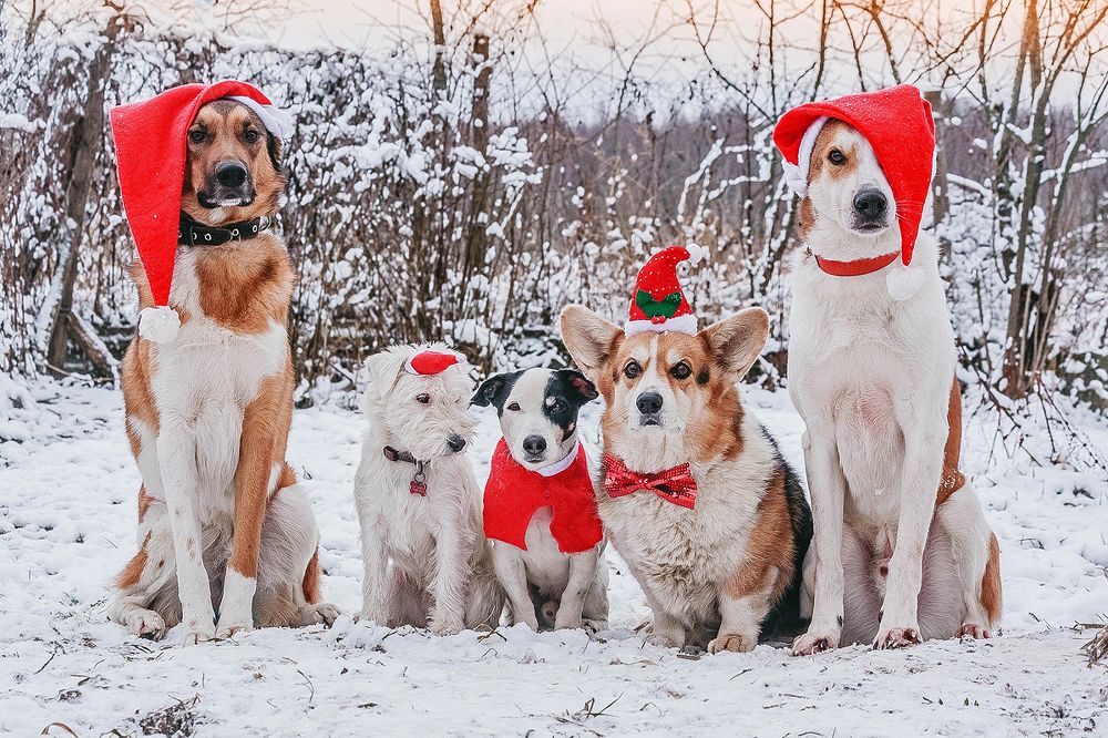 Photograph by Ольга Мурзина