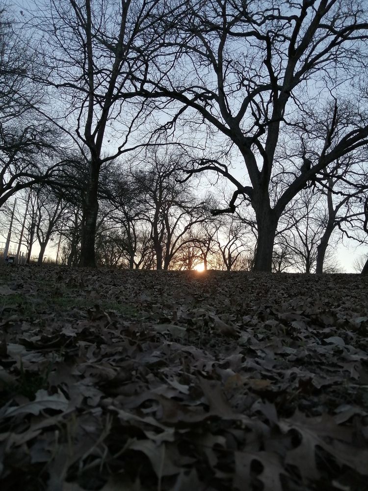 Photo #5660519